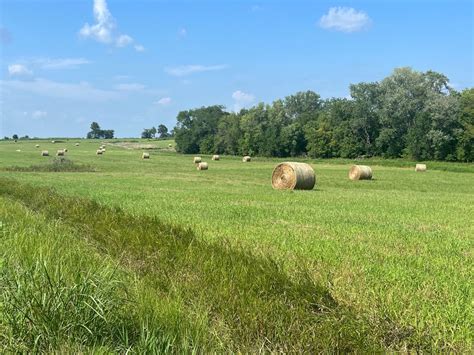 brownfield ag news.